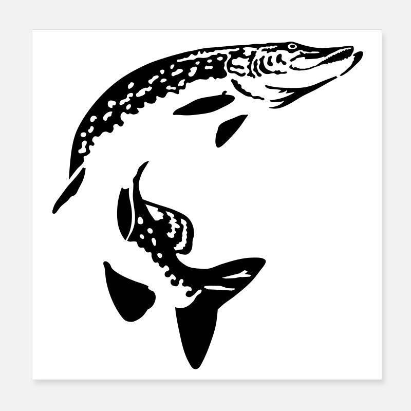 Hecht Poster 20x20 cm