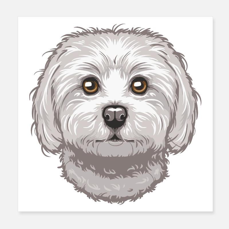 Maltese Poster 8" x 8" (20x20 cm)
