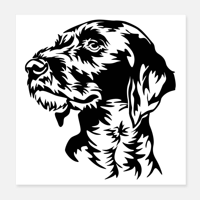 Deutsch Drahthaar Kopf Poster 20x20 cm
