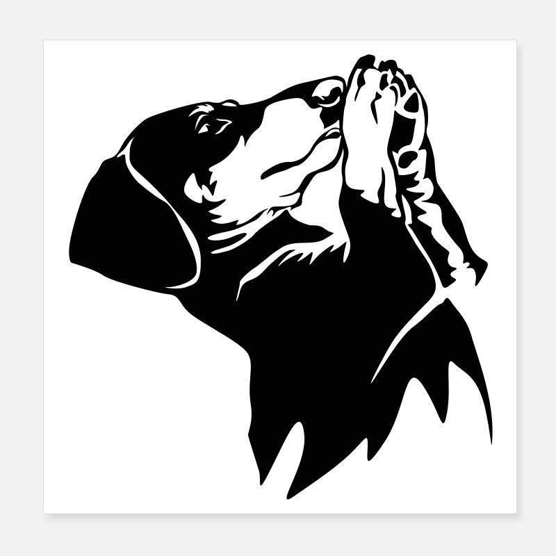 Dackel Poster 20x20 cm