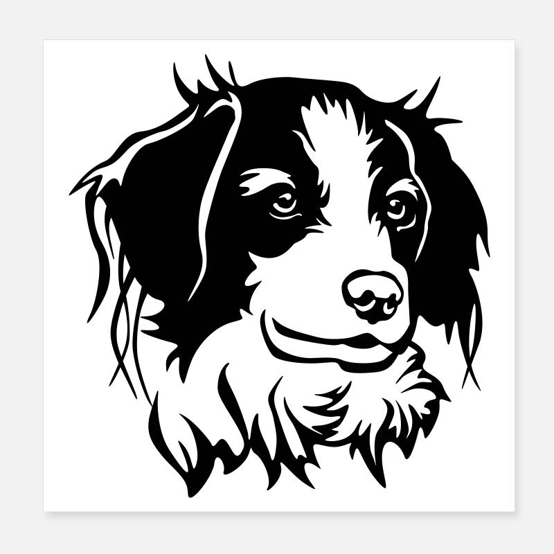 Kooikerhondje head Poster 8" x 8" (20x20 cm)