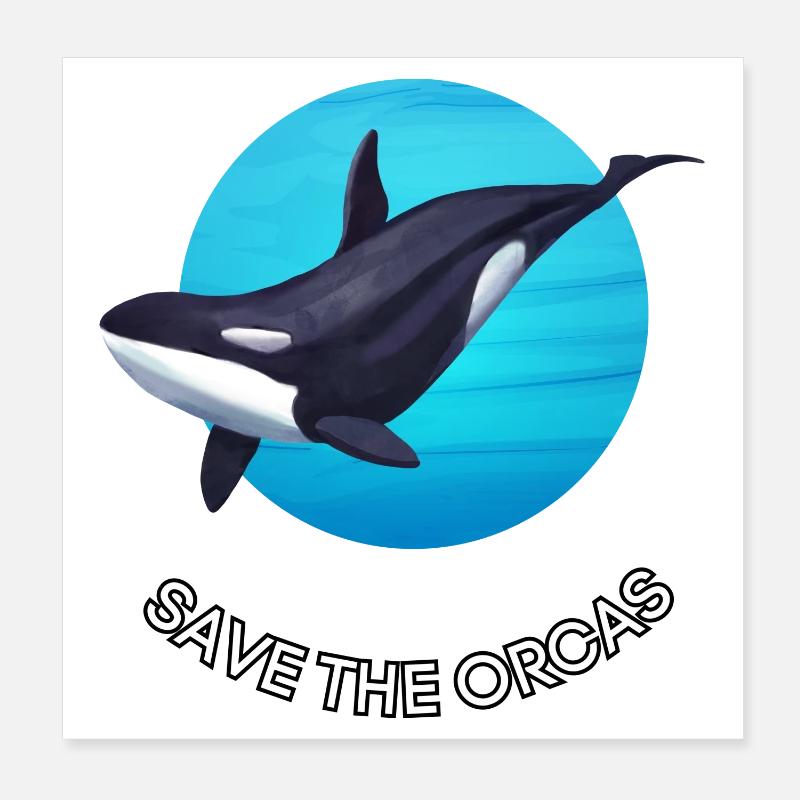 Orca Schutz - Save the Orcas Poster 20x20 cm