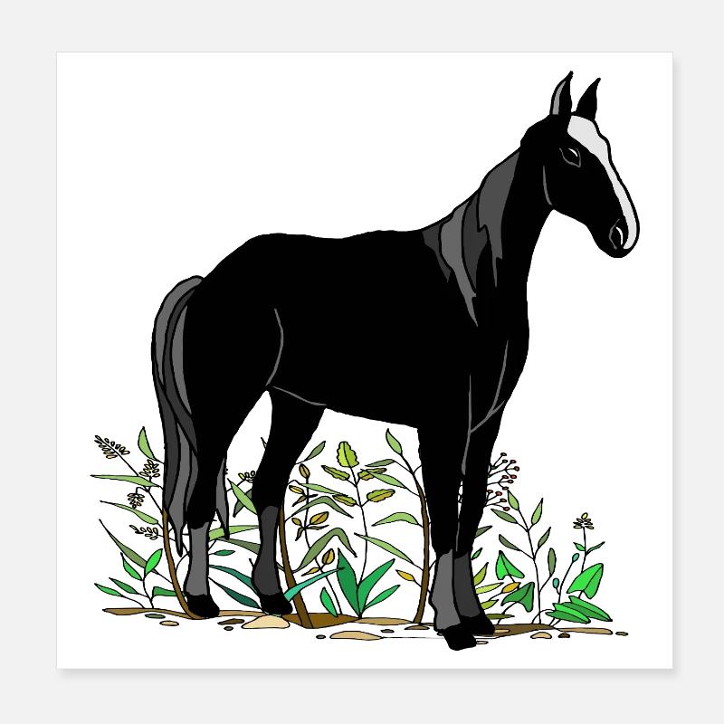 Pferd Poster 20x20 cm