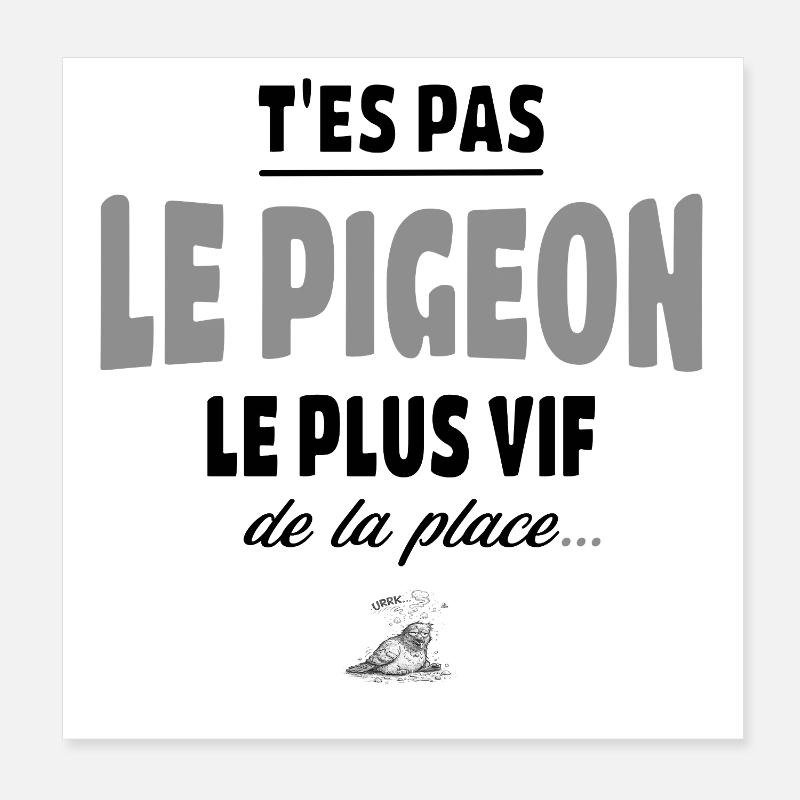 T’es pas le pigeon le plus vif de la place, humour Poster 20 x 20 cm