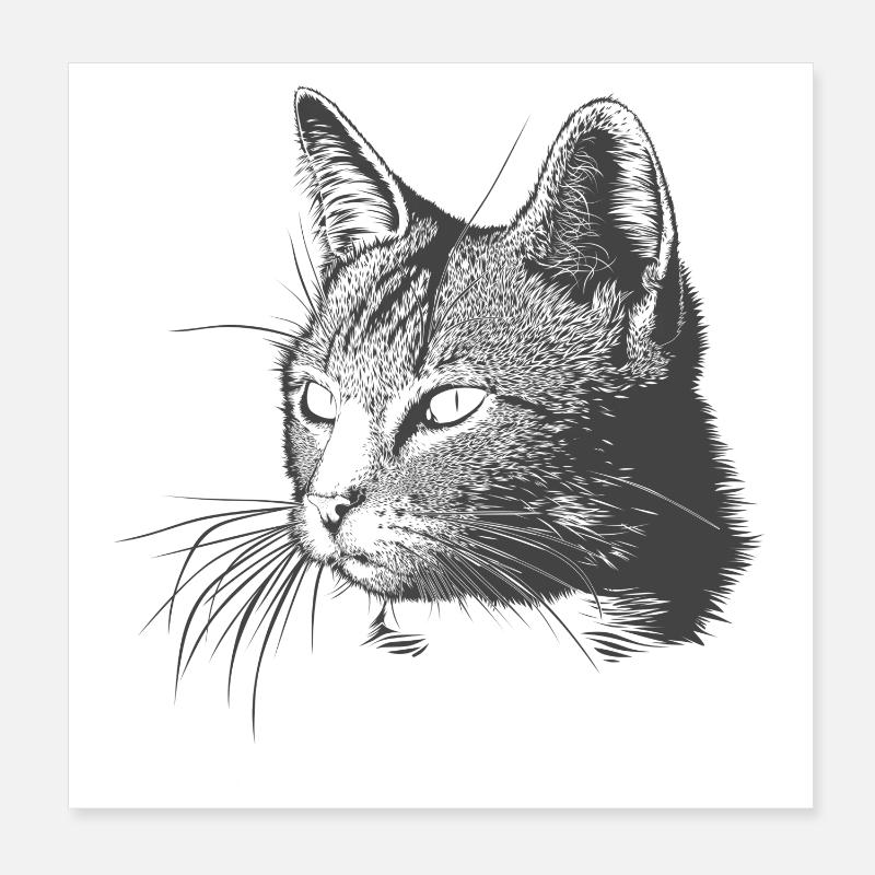 Chat Poster 20 x 20 cm