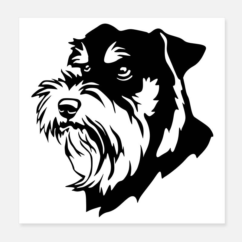 Schnauzer Kopf Poster 20x20 cm