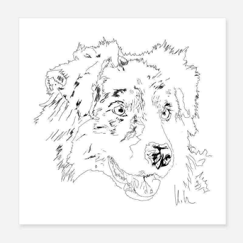 Australian Shepherd Poster 8" x 8" (20x20 cm)