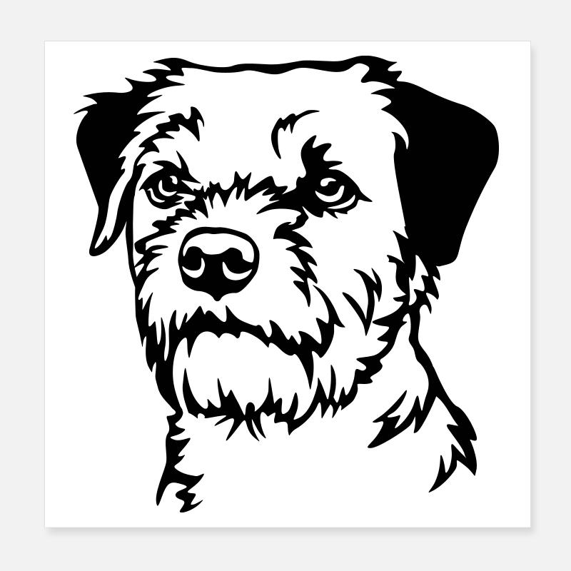 Tête de Border Terrier Poster 20 x 20 cm