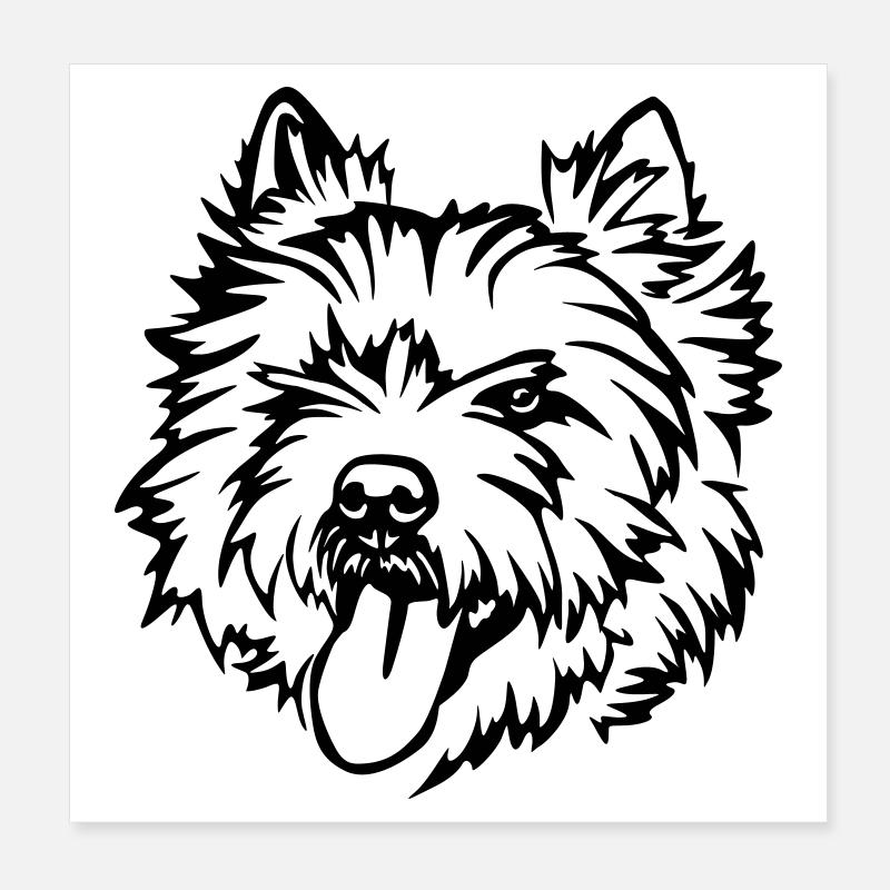 Cairn Terrier Kopf Poster 20x20 cm