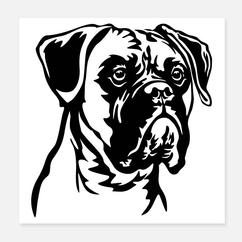 Boxer Kopf Poster 20x20 cm