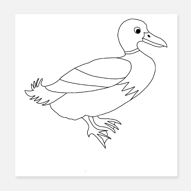 Duck / - Graphique noir et blanc Poster 20 x 20 cm