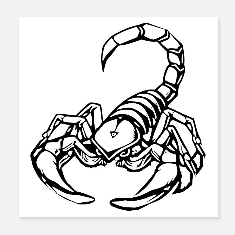 Scorpio Zodiac T-shirt Gift November Poster 8" x 8" (20x20 cm)