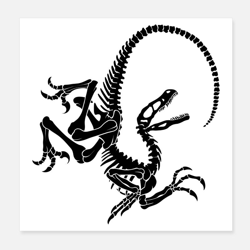 Squelette de raptor Poster 20 x 20 cm
