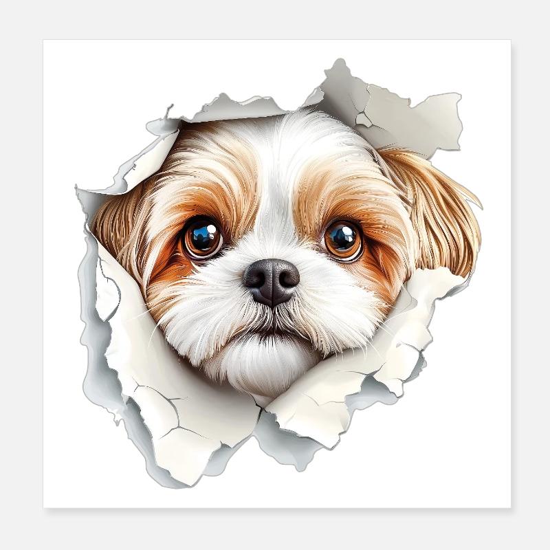 Shih Tzu Poster 20 x 20 cm