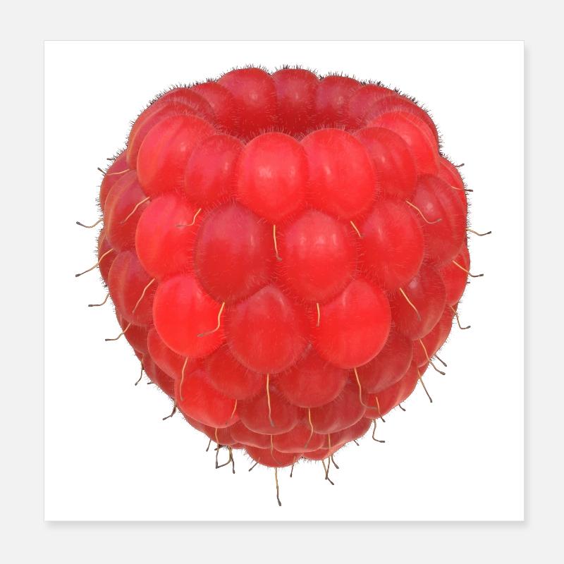 Modèle de grappe de framboises Poster 20 x 20 cm