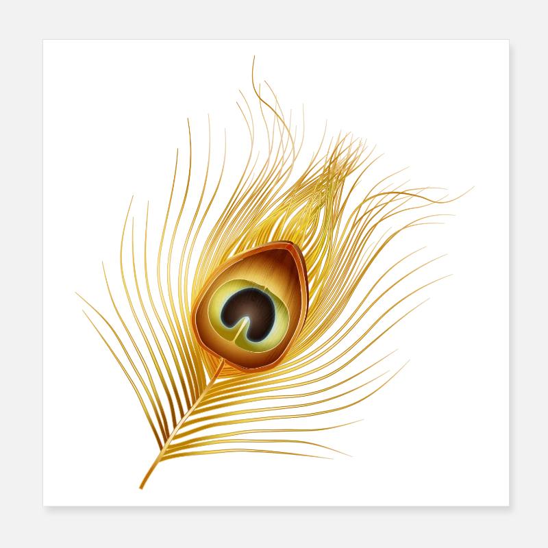 hand-drawn gold-colored peacock feather Poster 8" x 8" (20x20 cm)