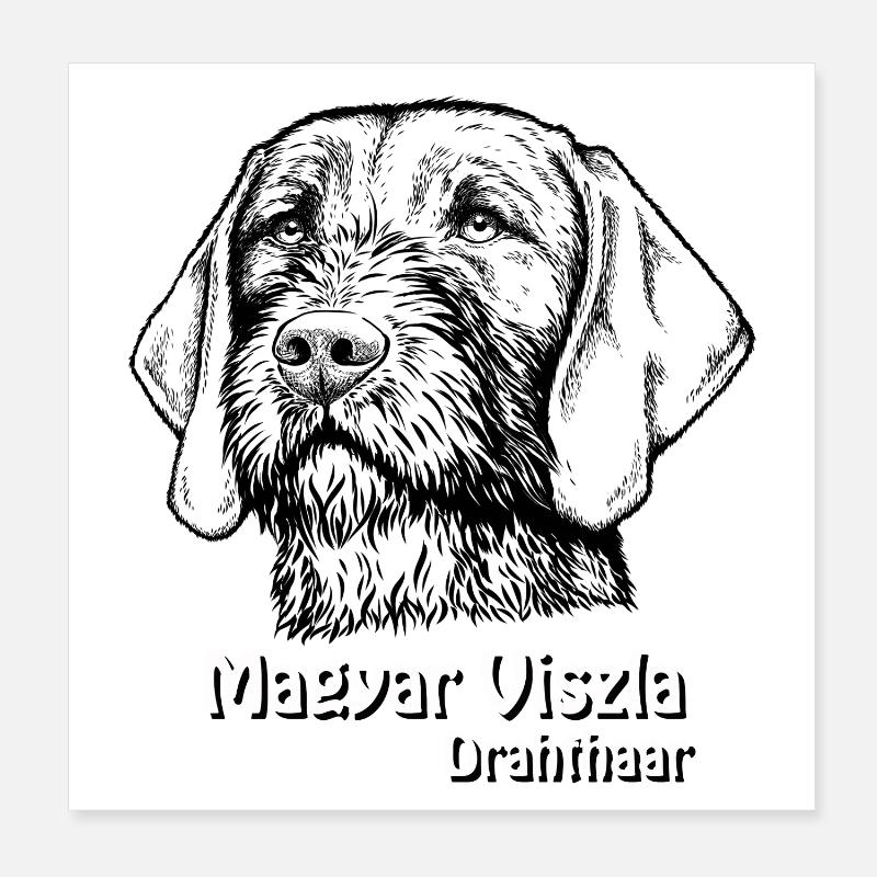 Magyar Viszla Drahthaar Poster 20x20 cm