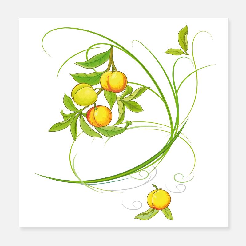 Pfirsiche, Obst Poster 20x20 cm