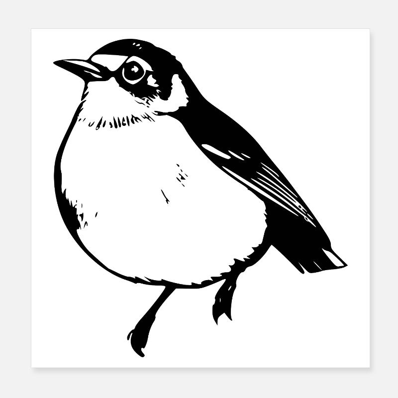 Vogel schwarz schwarzer Vogel Poster 20x20 cm