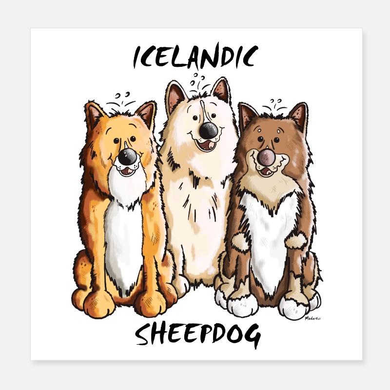 Drôle Islande Chien Poster 20 x 20 cm