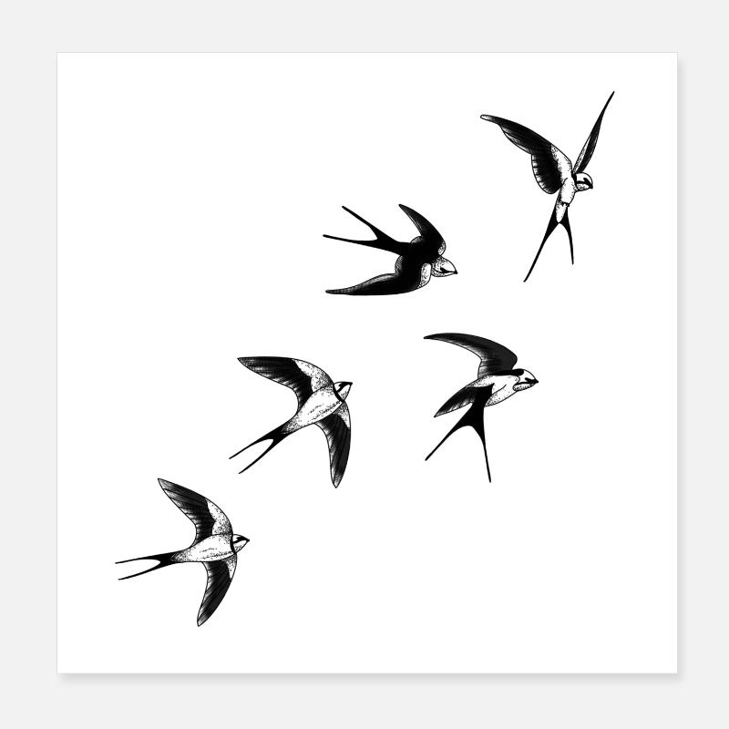 Swallow birds Poster 8" x 8" (20x20 cm)