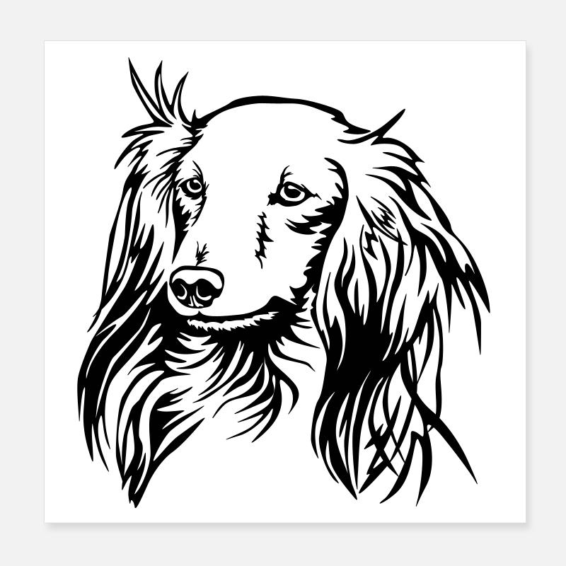 Dackel Kopf Poster 20x20 cm
