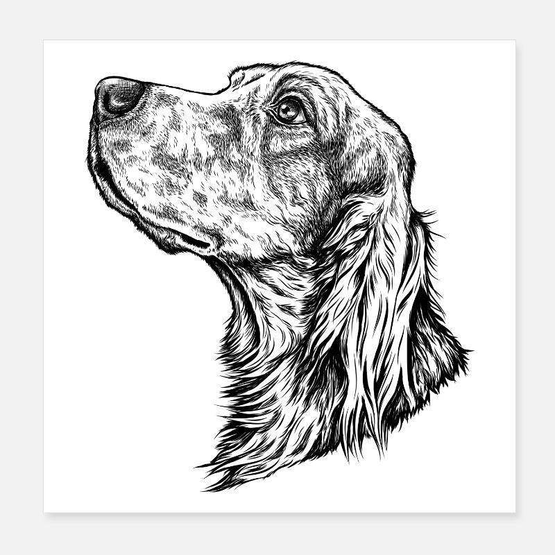 Irish Setter Portrait Poster 20x20 cm