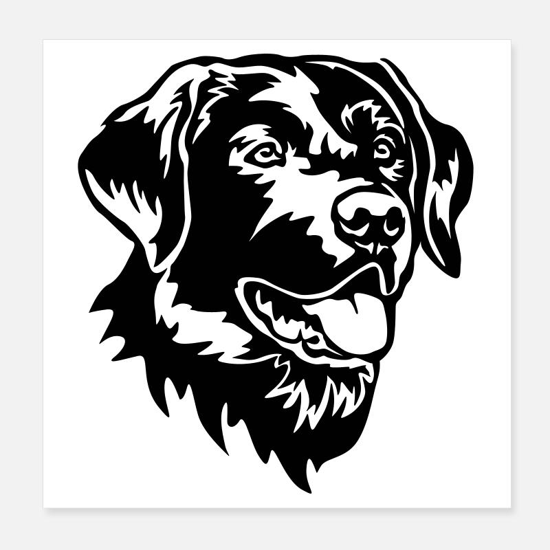 Tête de Labrador Poster 20 x 20 cm