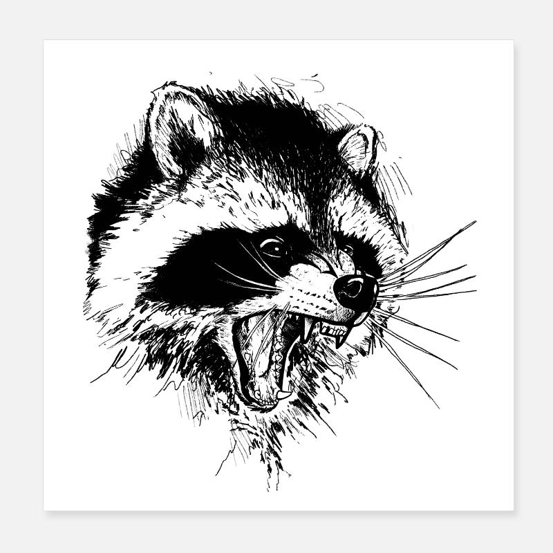 Waschbär Poster 20x20 cm