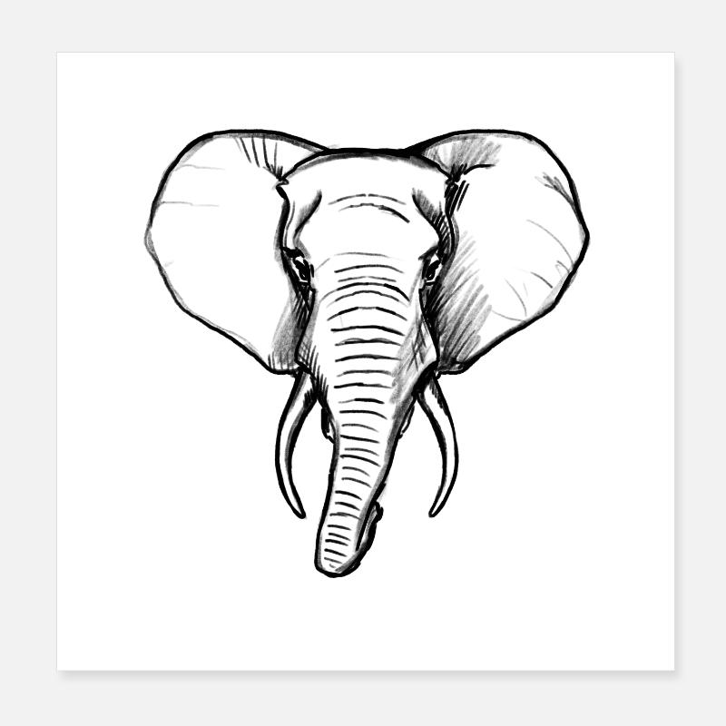 Éléphant Poster 20 x 20 cm
