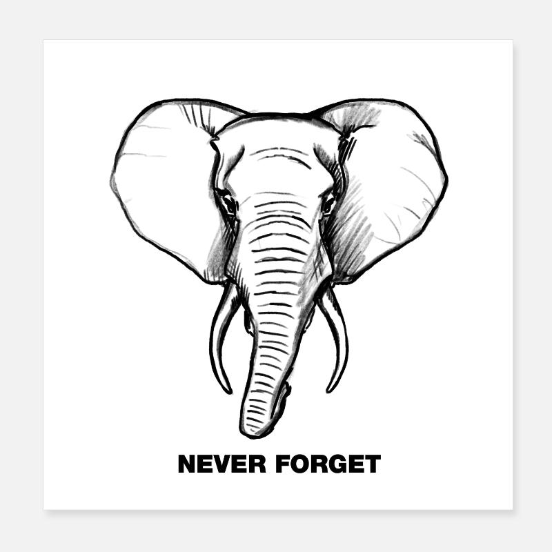 Elephant - Never forget Poster 8" x 8" (20x20 cm)