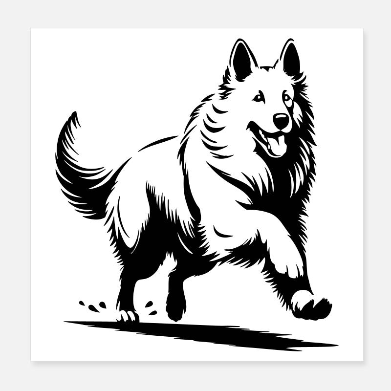 Schweizer Schäferhund Poster 20x20 cm