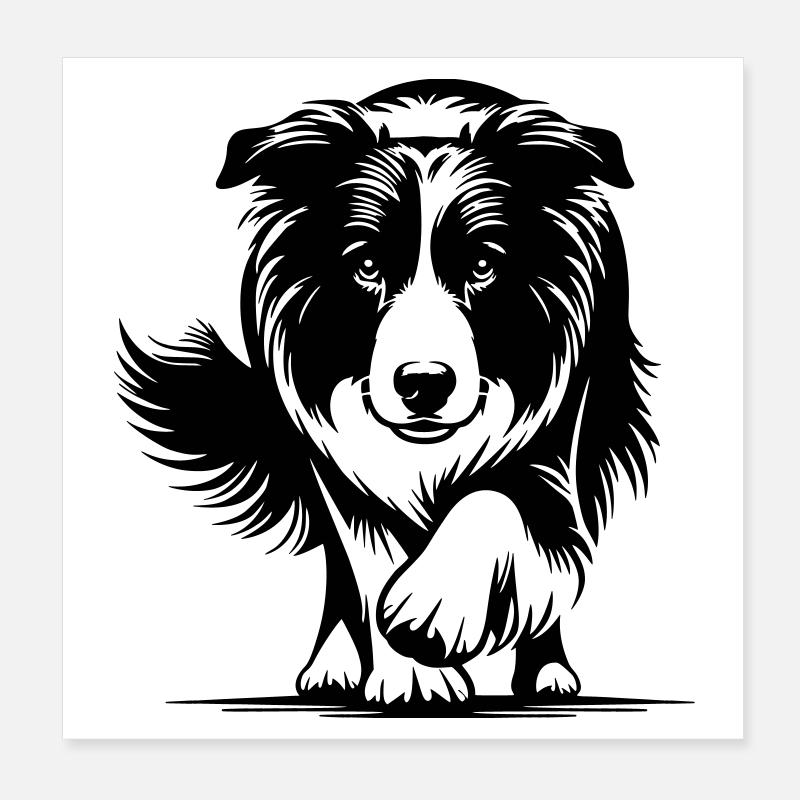 Border Collie Poster 20x20 cm