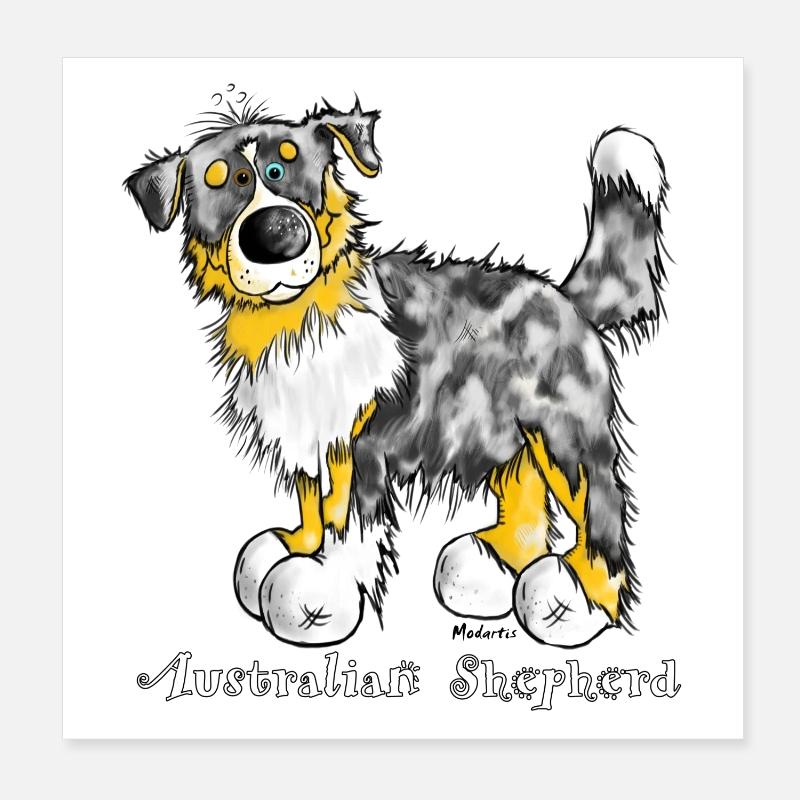 Berger australien - Aussie - Chapeaux de chien Poster 20 x 20 cm