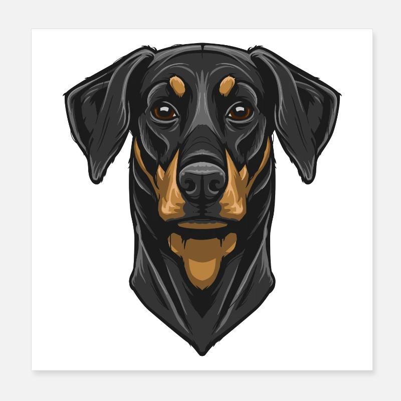 Dobermann Poster 20x20 cm
