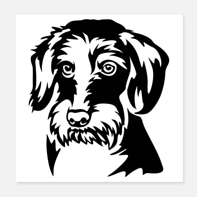 Dackel Kopf Poster 20x20 cm