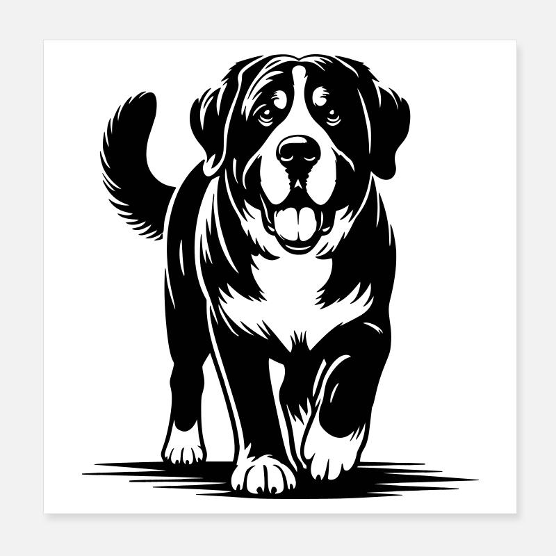 Großer Schweizer Sennenhund Poster 20x20 cm