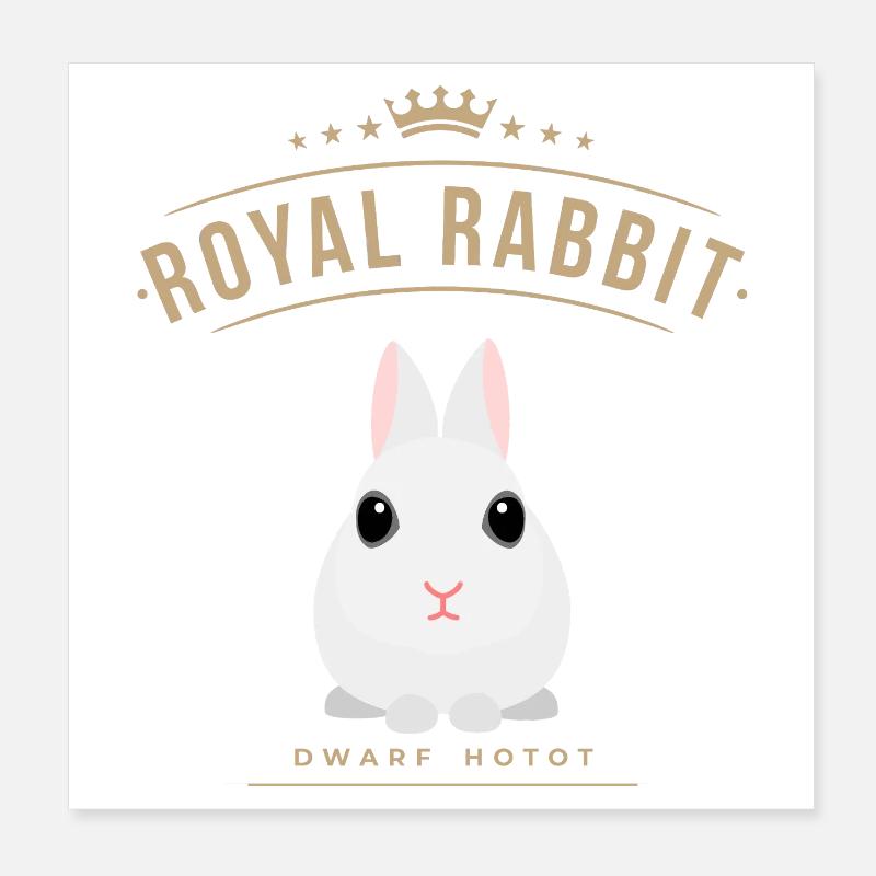 ROYAL RABBIT Dwarf hotot - Dwarf hotot Poster 8" x 8" (20x20 cm)
