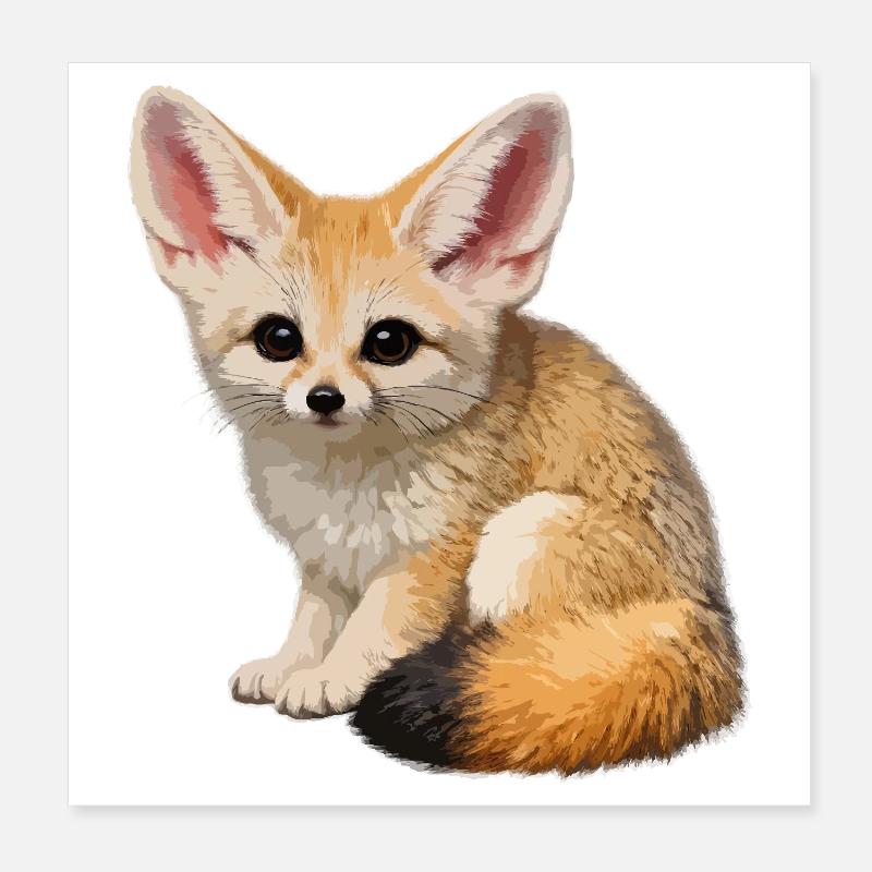 Fennec-Wüstenfuchs Poster 20x20 cm