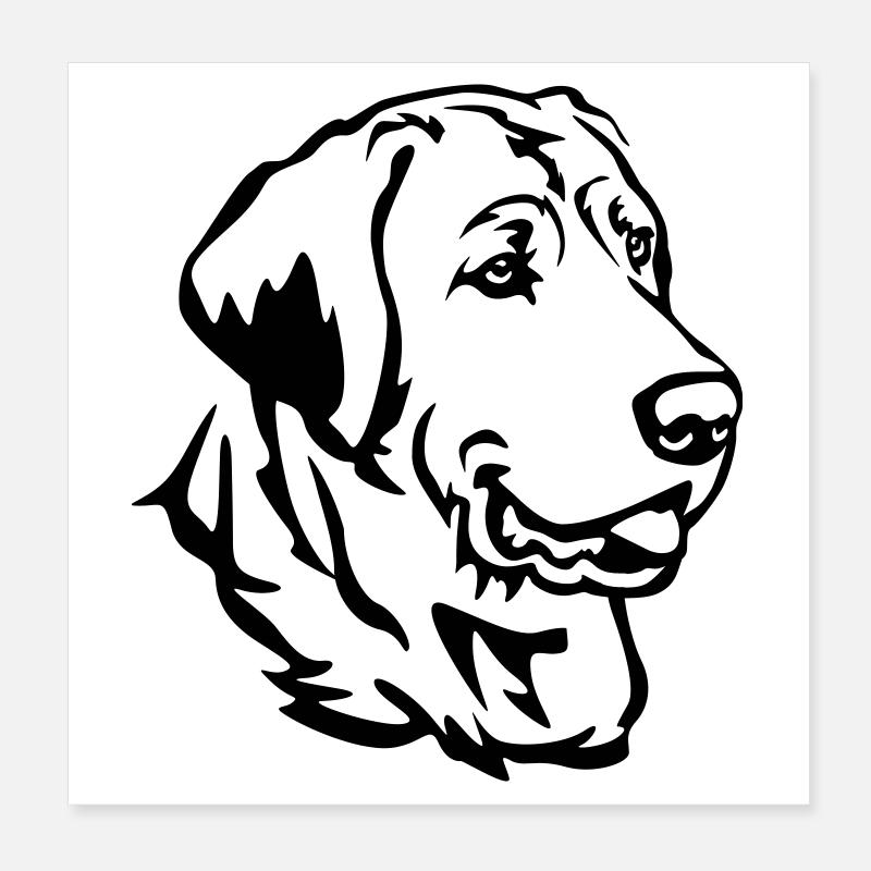 Broholmer Kopf Poster 20x20 cm