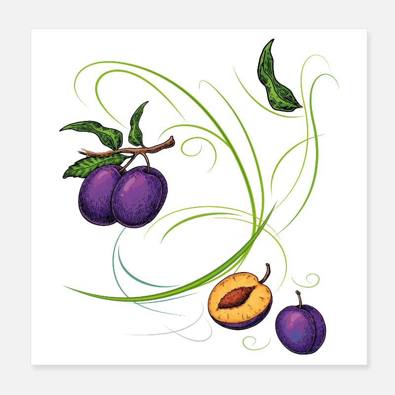 Pflaumen, Obst Poster 20x20 cm