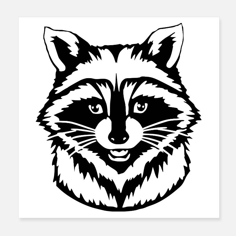 Raton laveur Poster 20 x 20 cm