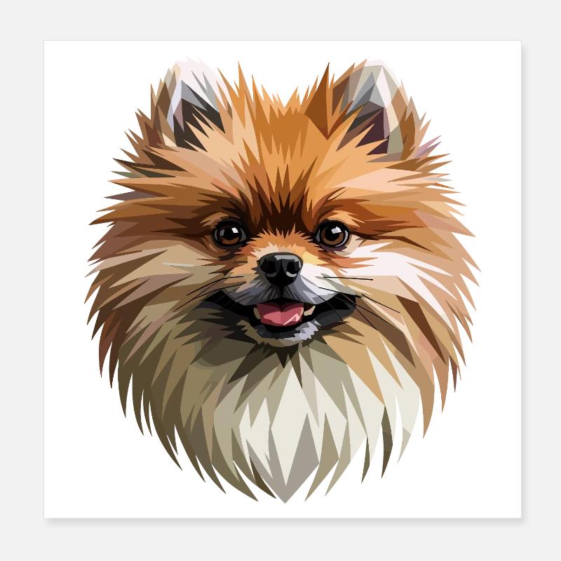 Zwergspitz Pommeraner Pom Süßer Deutscher Spitz Poster 20x20 cm