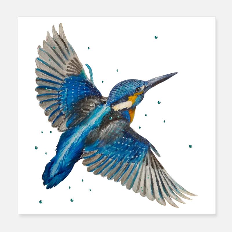 Kingfisher in flight Poster 8" x 8" (20x20 cm)