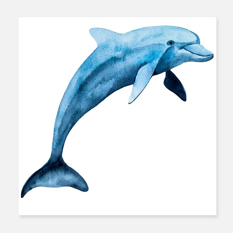 Delfin Poster 20 x 20 cm