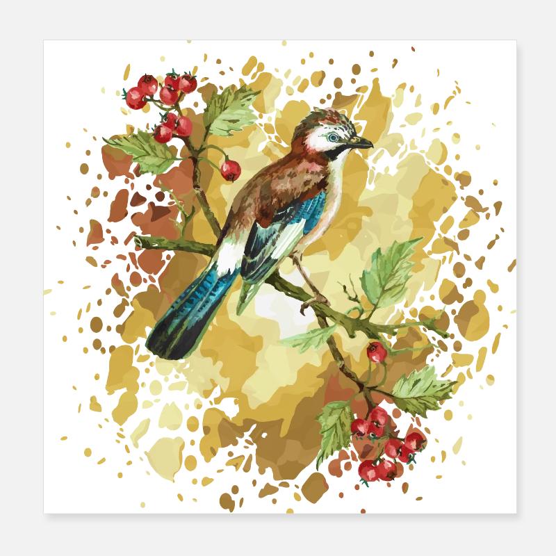 Geai des oiseaux Poster 20 x 20 cm
