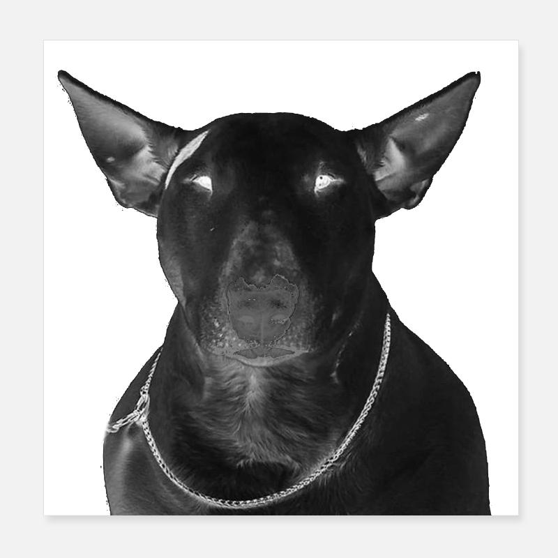 Black Bull Terrier aime mon chien Poster 20 x 20 cm