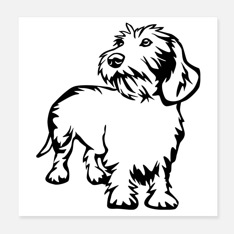 teckel Poster 20 x 20 cm