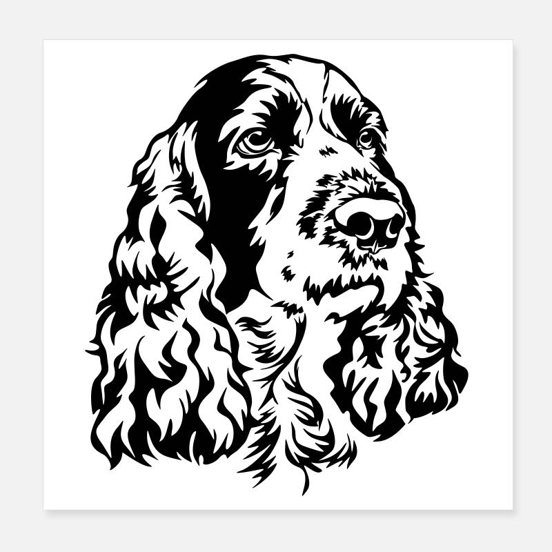 Springer anglais Tête d’épagne Poster 20 x 20 cm