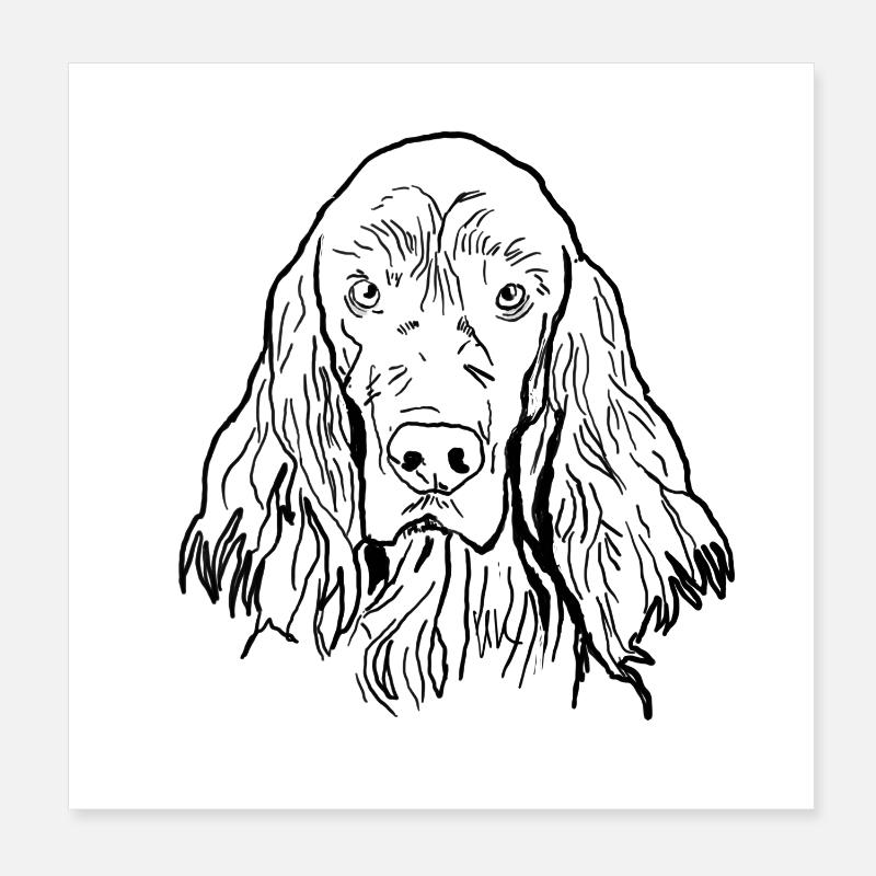Irish Setter Poster 20x20 cm